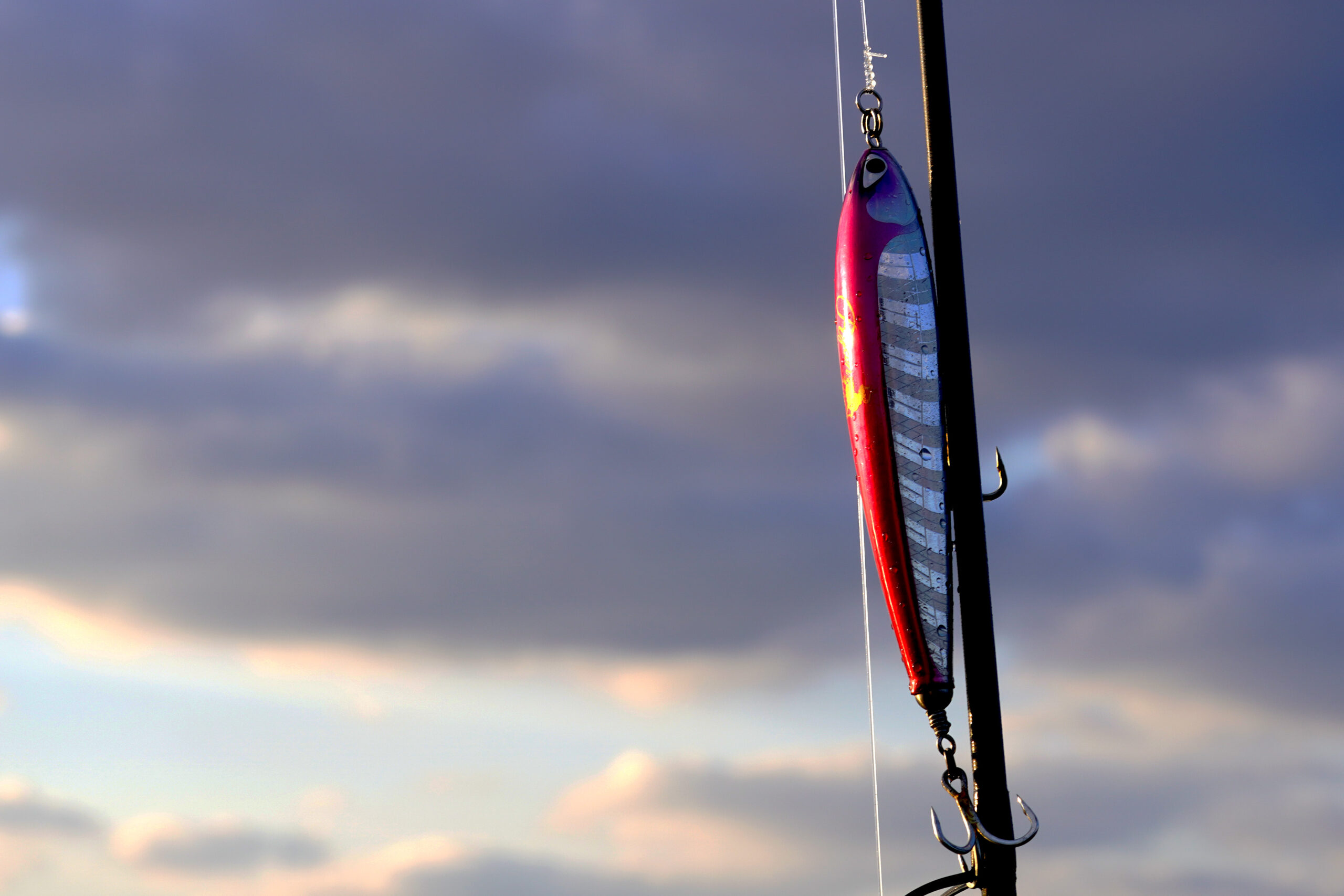 cdoneルアー画像