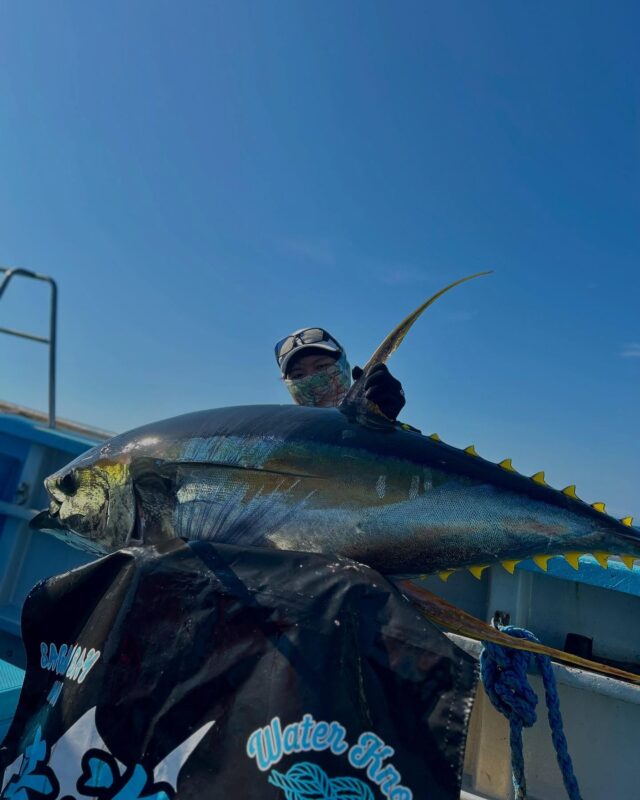 【ユーザー釣果報告】
CBONE製品をご愛用いただいております渡邊様より、相模湾における釣果のご報告を頂きました。

【使用製品】
VFR8212 BLUEWATER PLUGG’N

【製品に対するご感想】
「ガイド径が大きく、ティップおよびバット部に程よい張りがあるため、太糸を使用してもトラブルなく遠投が可能です。
主にヒラマサ狙いで使用しておりますが、バットがしっかりと曲がり込むことで大型マグロのパワーを吸収し、非常に快適にファイトすることができました。ヒラマサにもマグロにもお勧めの一本です！」

【釣果】
キハダ 53kg

渡邊様、このたびは貴重なご報告を誠にありがとうございました！
実際のフィールドでのご感想も詳細にお知らせいただき、製品の特性が大物とのファイトにおいても十分に活かされていることを大変嬉しく思います。
 
皆さまのフィールドでのご使用・ご報告をぜひお待ちしておりますので、CBONE製品を使用された釣果や製品レビューなどございましたら、お気軽にホームページの「REPORT/釣果報告」よりお知らせください。

#cbone