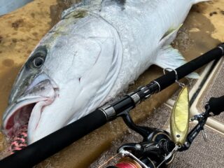 西日本釣り博 CBONE ルドルフ260 ギラ220 バズースリム240 バズー240/約154g］と新サイズの［ルドルフ260/約180g］が完成