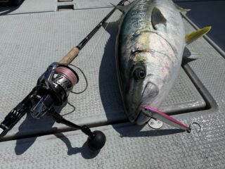 CB ONE – SALTWATER FISHING PRODUCTS